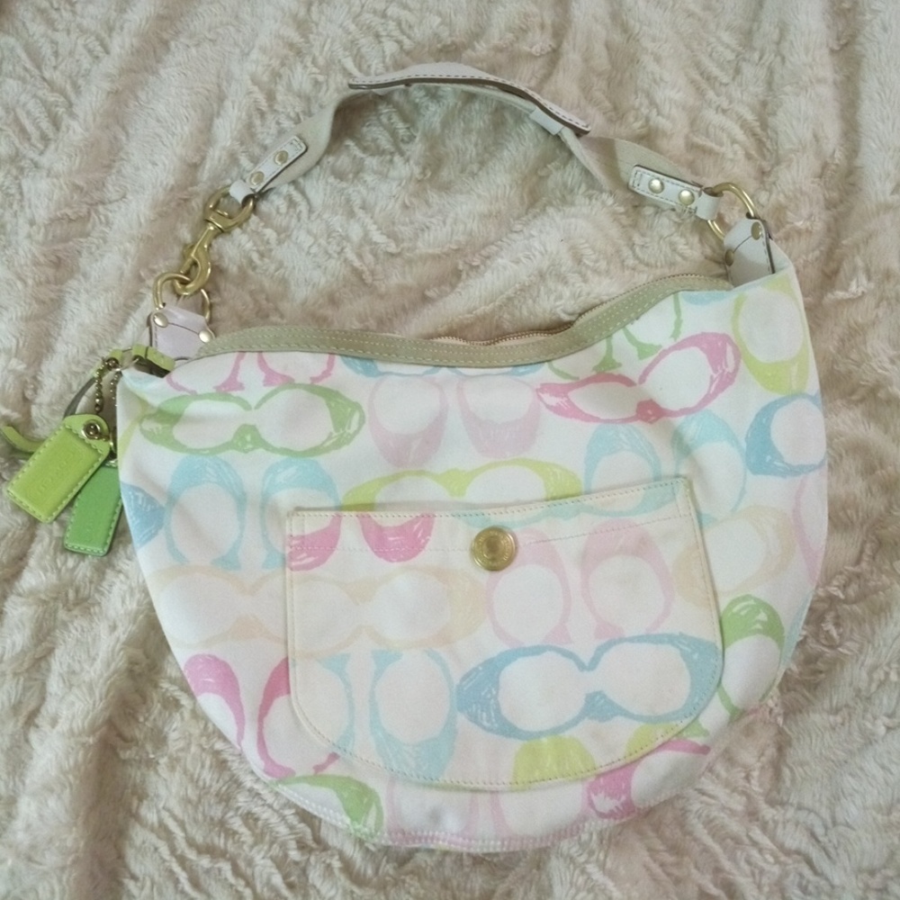 Coach Multicolor Large Bag
